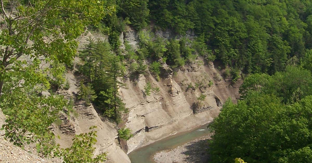 Zoar Valley Multiple Use Area, New York Roadtrippers