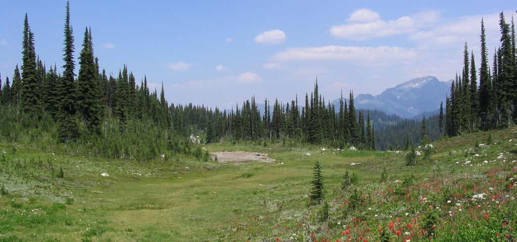 Photo of Mount Revelstoke National Park