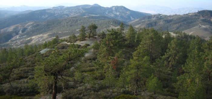 Photo of San Benito Mountain Research Natural Area