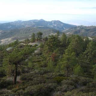San Benito Mountain Research Natural Area