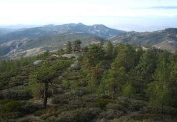 Photo of San Benito Mountain Research Natural Area