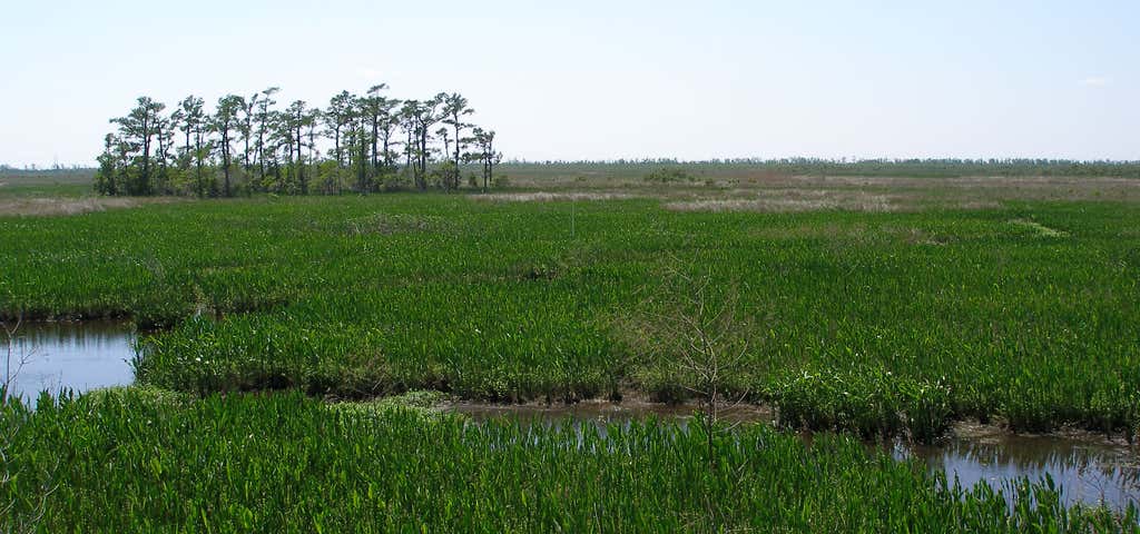 Photo of Jean Lafitte National Historical Park and Preserve