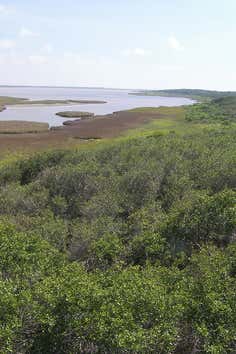 Photo of Aransas National Wildlife Refuge Roadtrippers