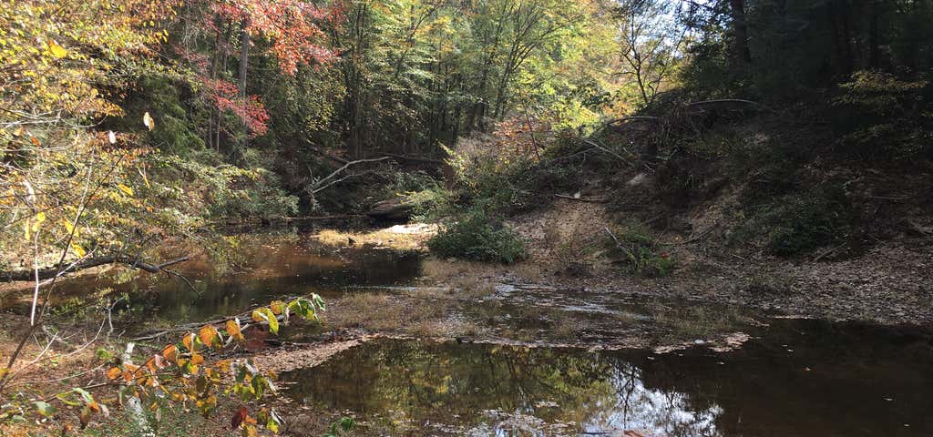 Photo of Sipsey River