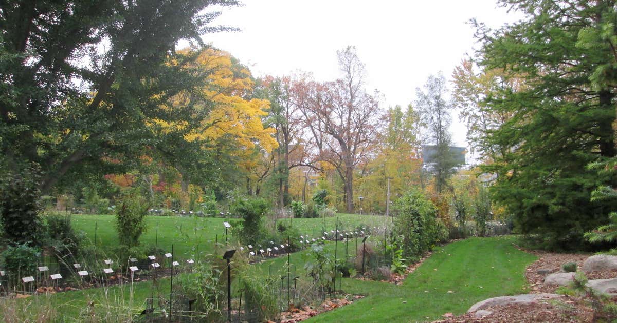 W. J. Beal Botanical Garden, East Lansing Roadtrippers