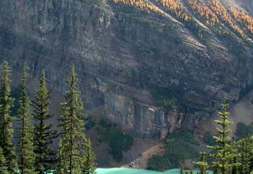 Photo of Alberta Mountains forest