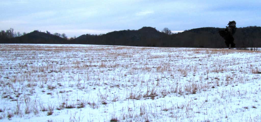 Photo of Fort Blount-Williamsburg Site