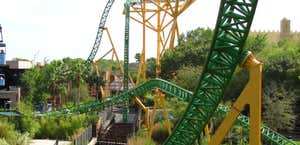 Cheetah Hunt
