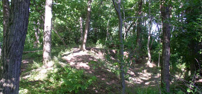 Photo of Rowlandton Mound Site 15MCN3
