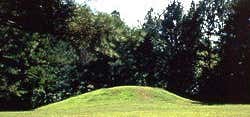 Photo of Bynum Mound and Village Site
