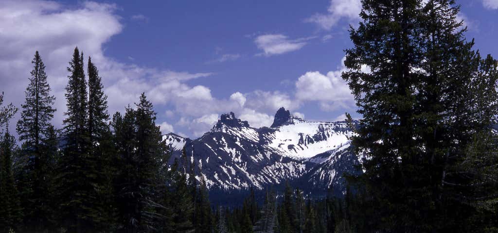 Photo of South Central Rockies forests