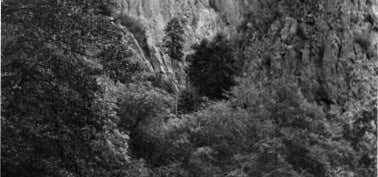 Photo of Gila Wilderness