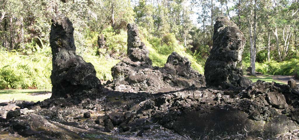 Photo of Lava Tree State Monument