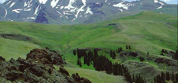 Photo of Shoshone National Forest
