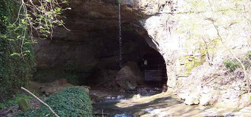 Photo of Sauta Cave National Wildlife Refuge