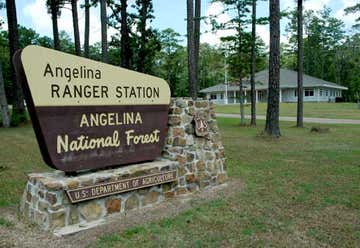 Photo of Angelina National Forest