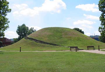 Photo of South Charleston Mound