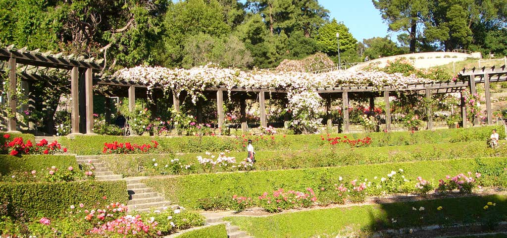 Photo of The Berkeley Rose Garden