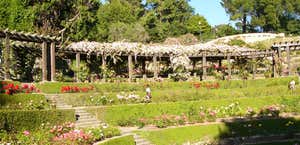 The Berkeley Rose Garden