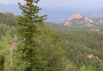 Photo of Pike National Forest