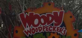 Photo of Woody Woodpecker's Nuthouse Coaster