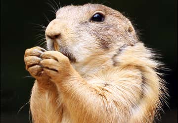 Photo of Prairie Dog State Park