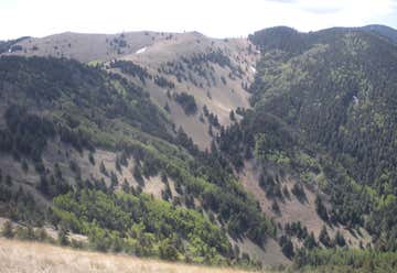 Photo of White Mountain Wilderness