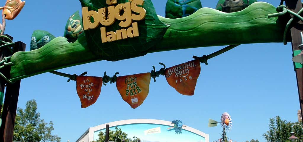 Photo of A Bug's Land