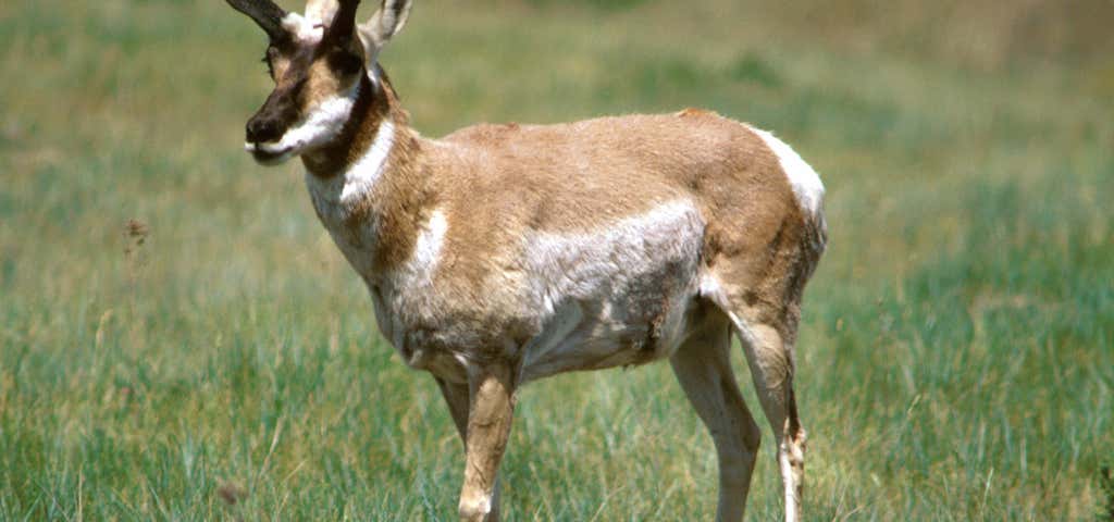 Photo of Crescent Lake National Wildlife Refuge