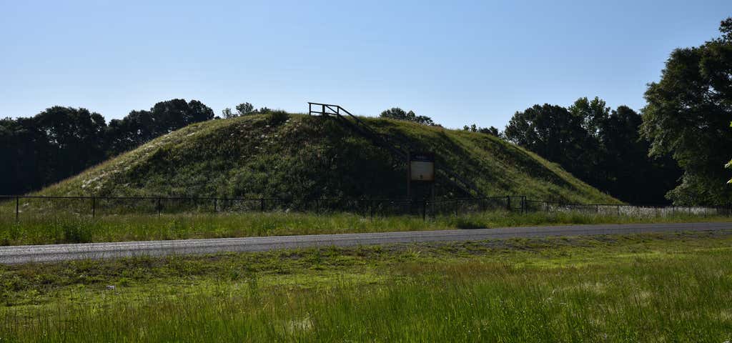 Photo of Nanih Waiya Mound And Village