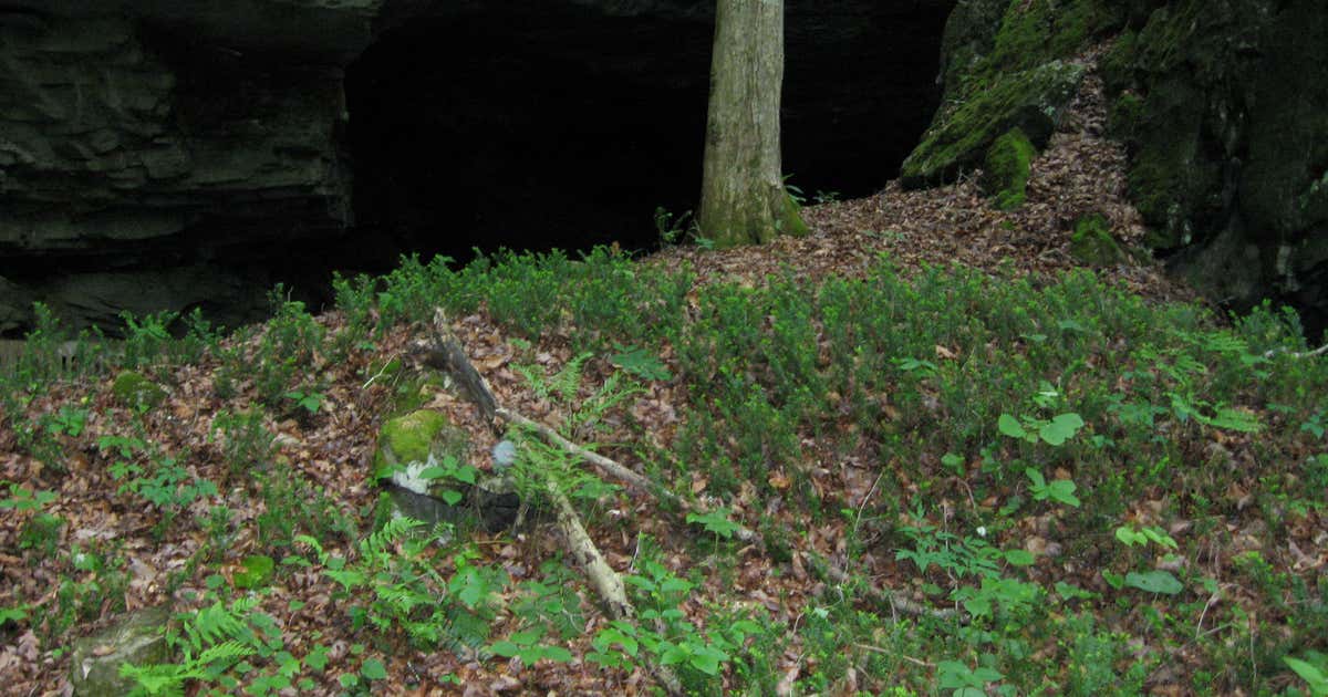 Bat Cave and Cascade Caverns State Nature Preserves, Kentucky