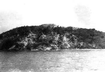 Photo of Turtle Mound