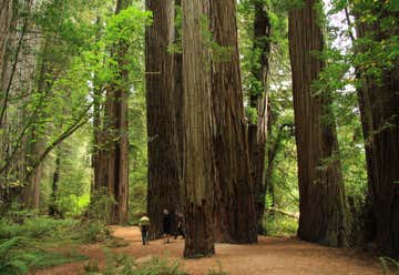 Photo of  Jedediah Smith Redwood State Park Campground, 1440 U.S. 199 Crescent City CA