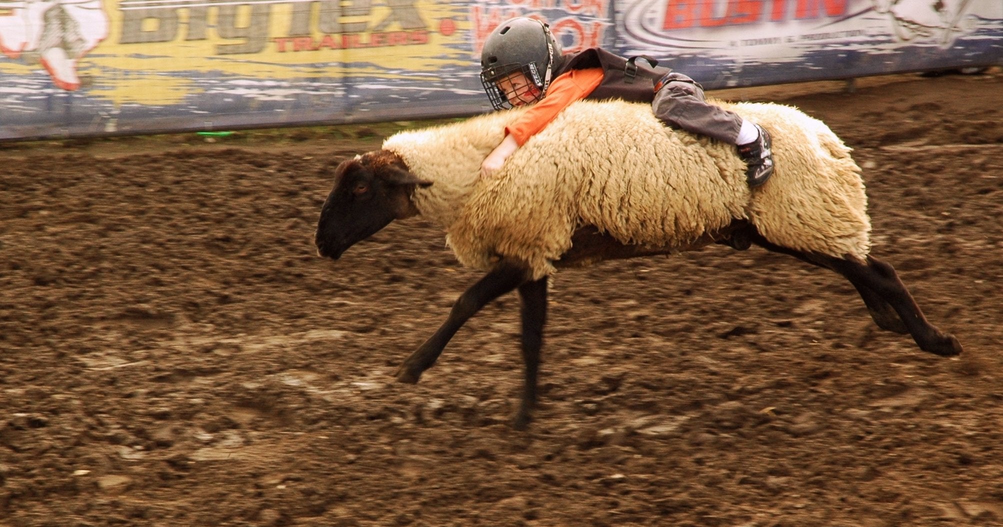 Washington State Fair