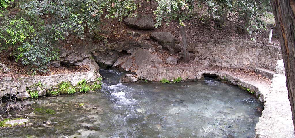 Photo of Comal Springs