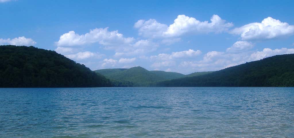 Photo of Michaux State Forest