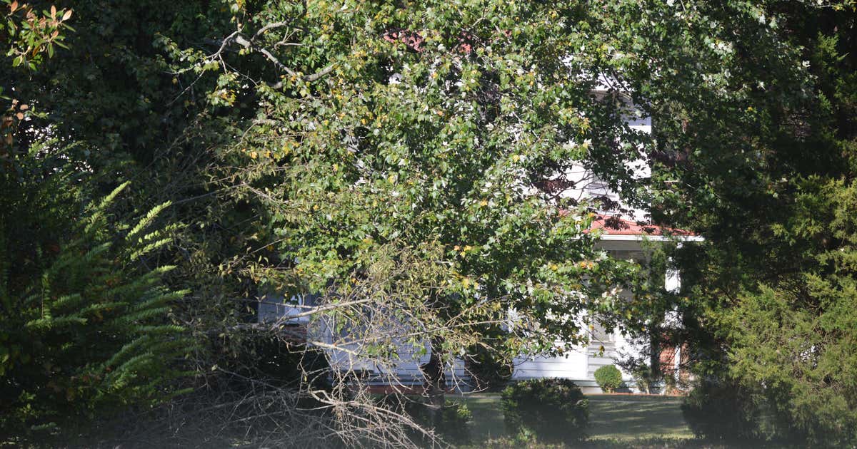 Kippax Plantation Archeological Site, Virginia Roadtrippers