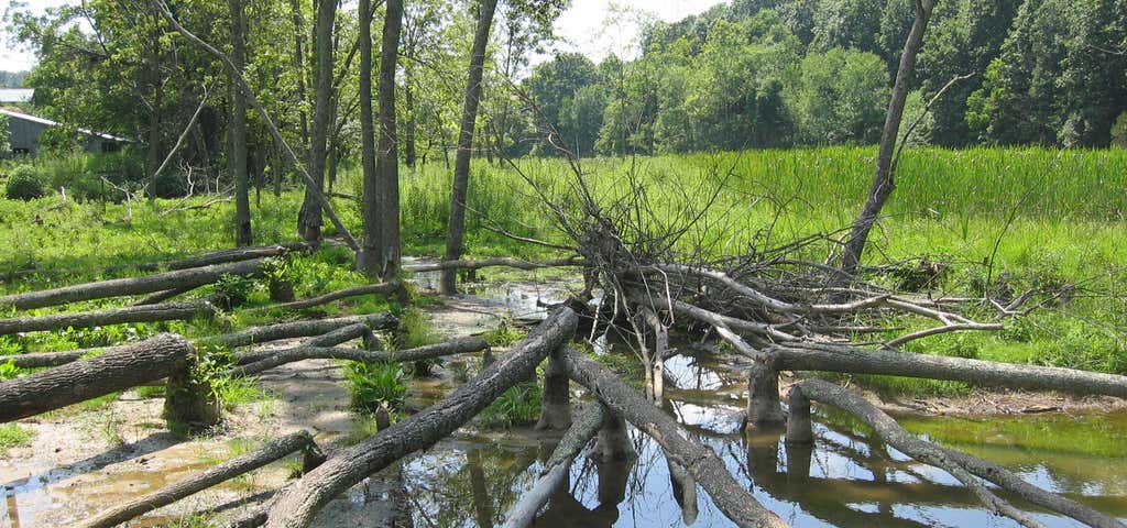 Photo of Folly Mills Creek Fen Natural Area Preserve