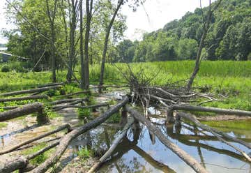 Photo of Folly Mills Creek Fen Natural Area Preserve