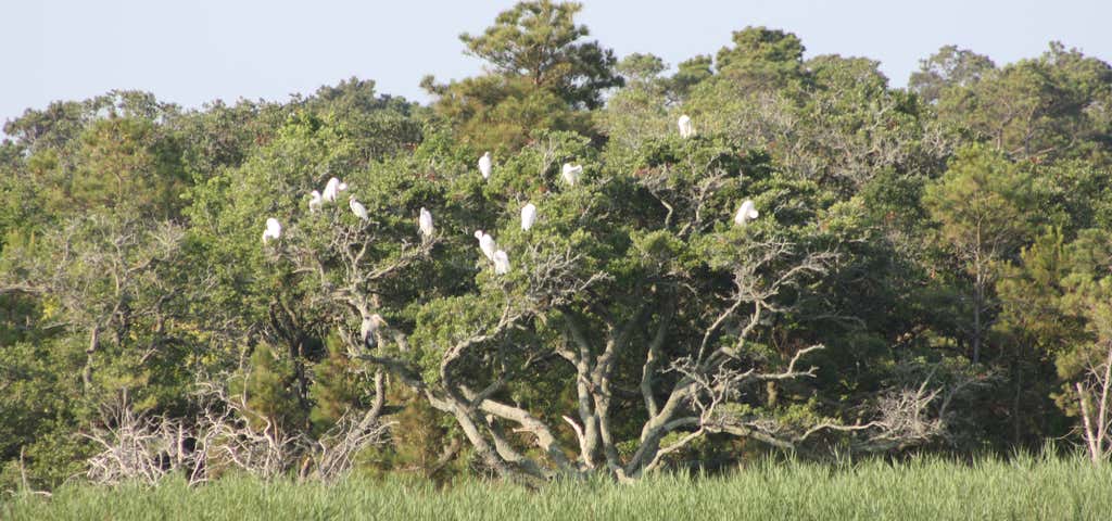 Photo of False Cape Natural Area Preserve