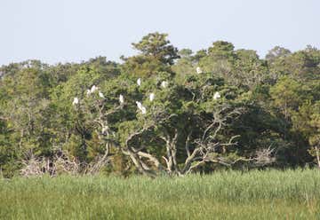 Photo of False Cape Natural Area Preserve