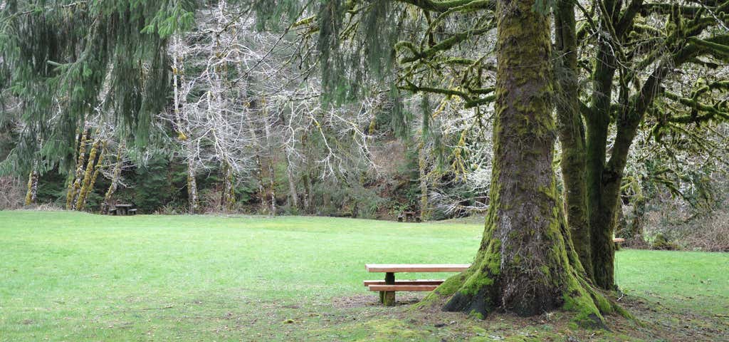 Photo of H. B. Van Duzer Forest State Scenic Corridor