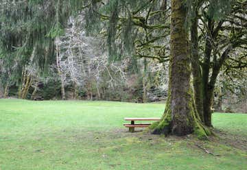 Photo of H. B. Van Duzer Forest State Scenic Corridor