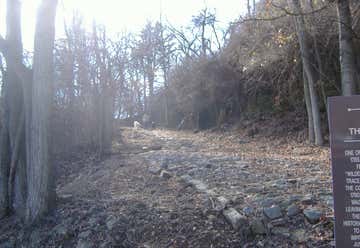 Photo of Cobblestone Path