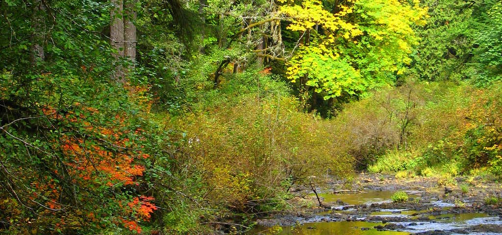 Photo of Silver Creek