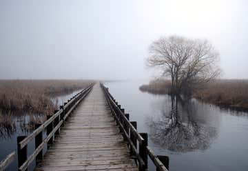 Photo of Point Pelee National Park