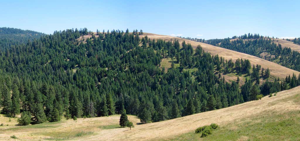 Photo of Battle Mountain Forest State Park