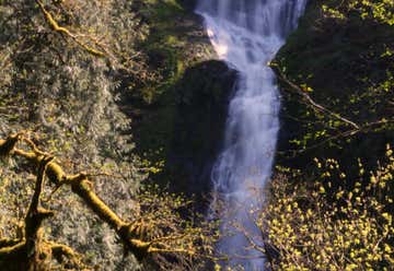 Photo of Munson Creek Falls State Natural Site