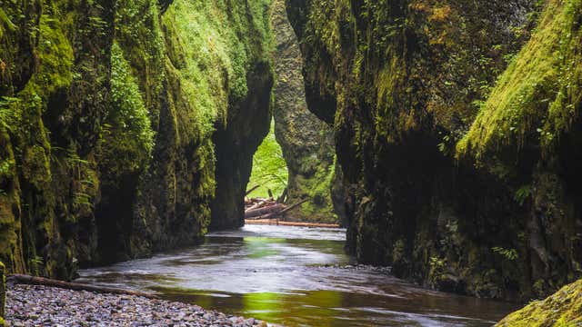 Oneonta Gorge Cascade Locks Or Roadtrippers