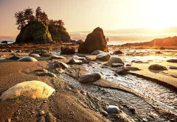 Photo of Olympic National Park